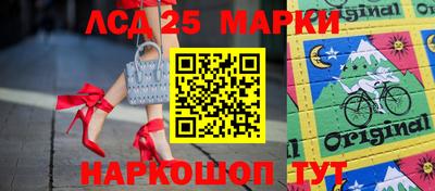 индика Гусев