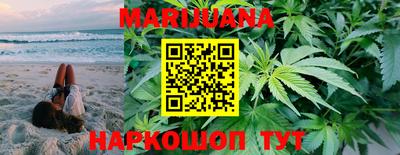 индика Гусев
