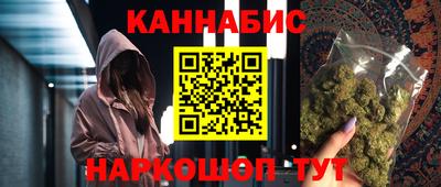 индика Гусев
