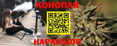 индика Гусев