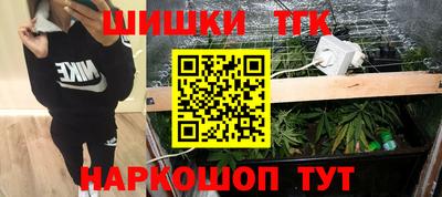 индика Гусев