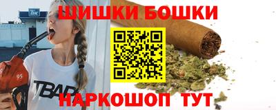 индика Гусев