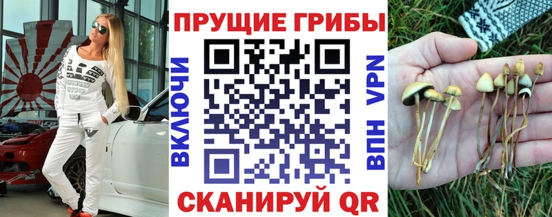 Псилоцибиновые грибы мицелий  наркота  KRAKEN ссылки  Зеленогорск 