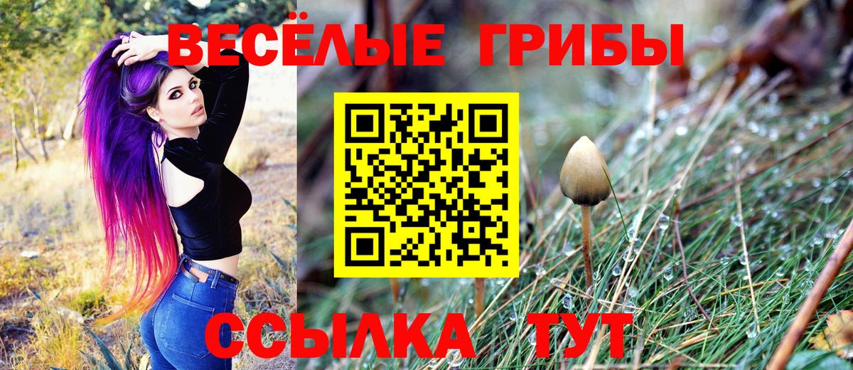 Галлюциногенные грибы Magic Shrooms  Зеленогорск 