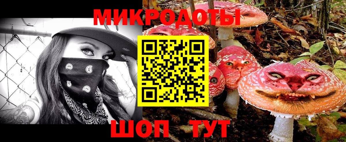 Псилоцибиновые грибы Psilocybine cubensis Зеленогорск