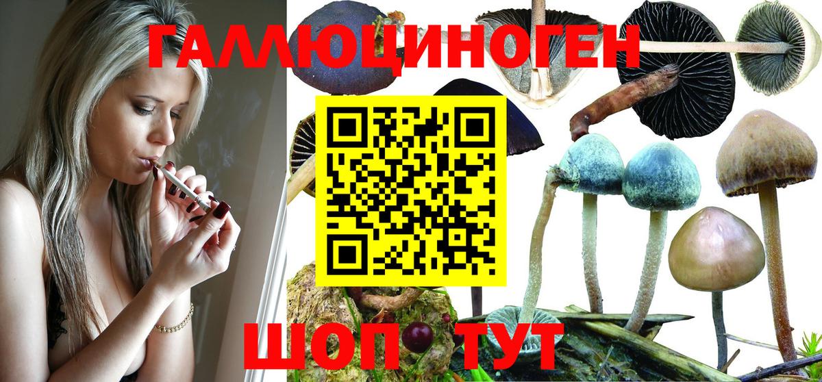Галлюциногенные грибы Magic Shrooms Зеленогорск