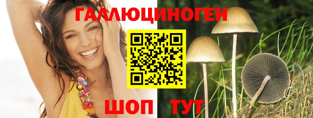 Зеленогорск  Галлюциногенные грибы Psilocybine cubensis  Вход с VPN  купить наркоту  Галлюциногенные грибы мицелий 