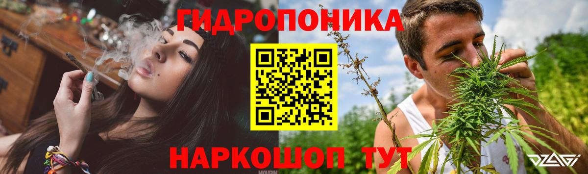 Зеленогорск  Бошки марихуана VHQ  Вход с VPN  Конопля сатива  Марихуана марихуана 